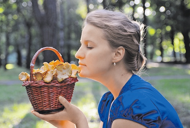 Как правильно сушить грибы дома 