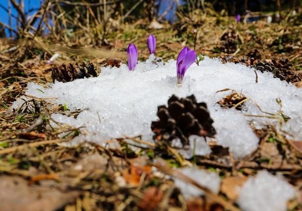 Киевскую область накроет град, а следом придут морозы